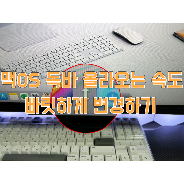  맥 os 독 바 자동 가리기 적용 시 빠르게 올라오게 설정하기