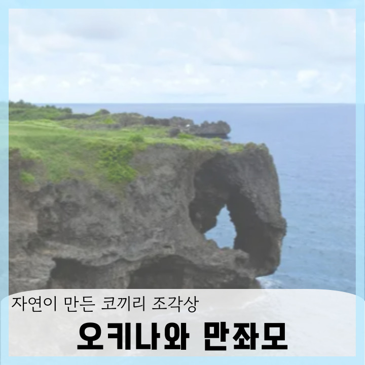  오키나와 여행 만좌모 코끼리바위 가볼만한곳