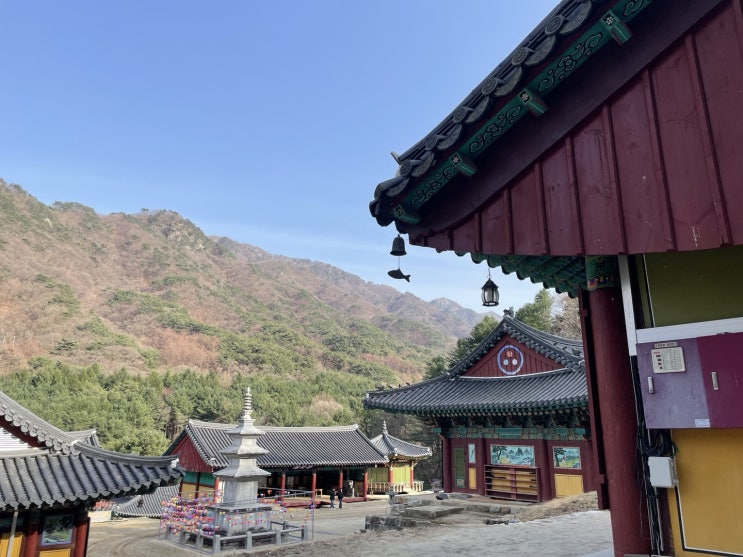  원주 치악산 구룡사 템플스테이 체험형 프로그램 후기 / 식사