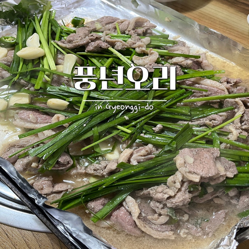 풍년오리 사진 1