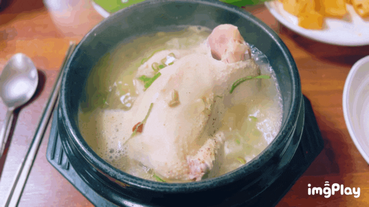  삼복에 보신이 되고 원기를 돕는 보양음식 원주 단구동 "치악녹각삼계탕"