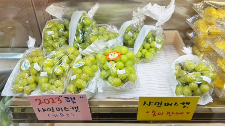  동탄 과일 맛집 과일창고탐스 내돈내산