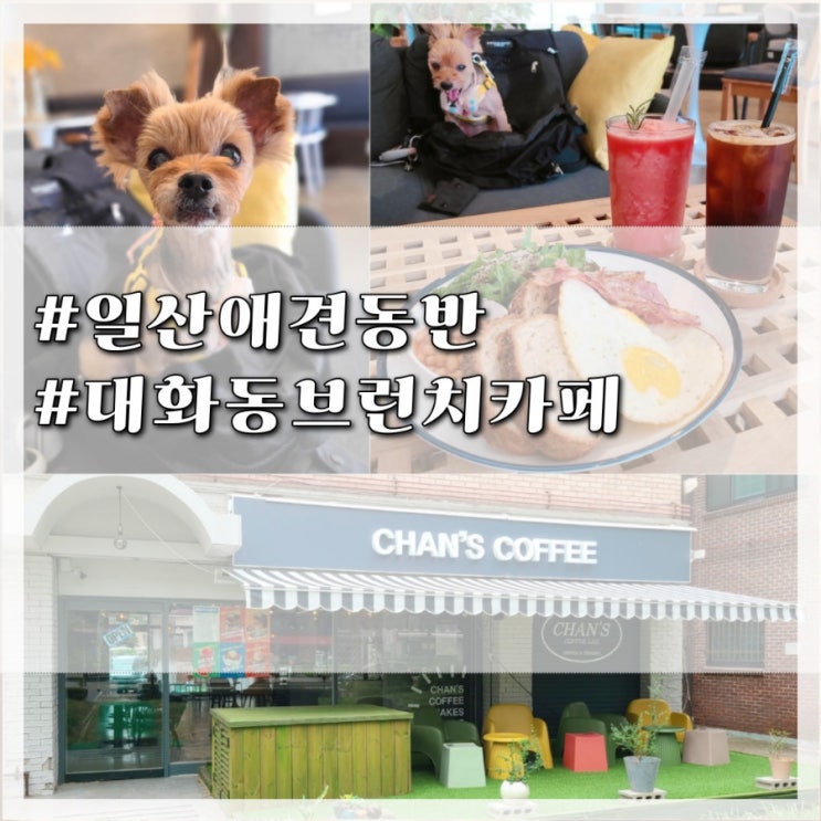  일산 애견동반 브런치카페 대화동 찬스커피 수박주스