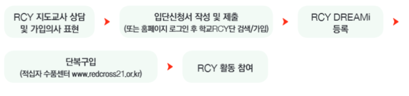 RCY 70주년 기념! 청소년적십자(RCY)의 모든 것! (4대 활동/신청방법) : 네이버 블로그
