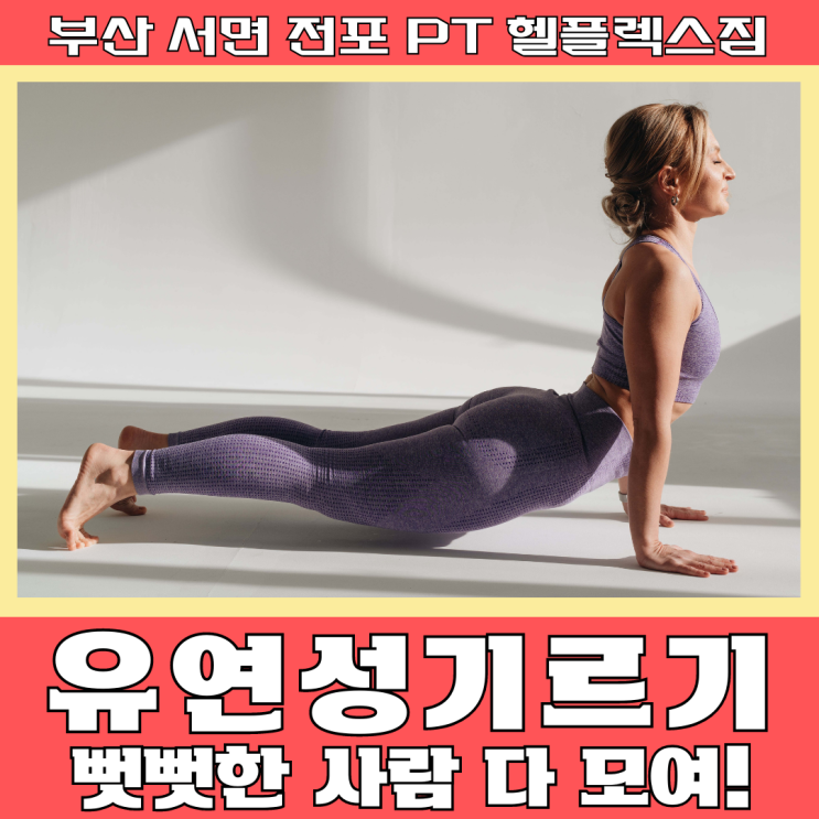  유연성기르기 뻣뻣한 사람 다모여!! 전포pt