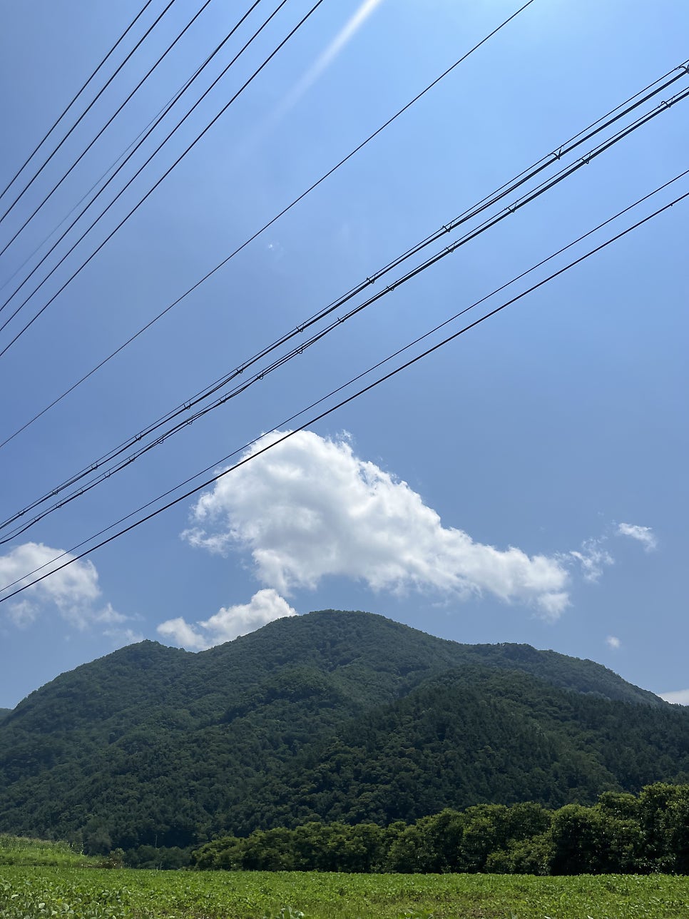Huiyeoulgwakkotnayepensyeon photo 2
