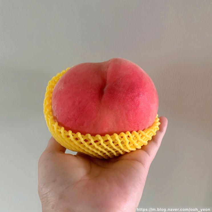  복겟팅이라 불리는 맛보장 복자네 복숭아 약간은 아쉬운 리뷰