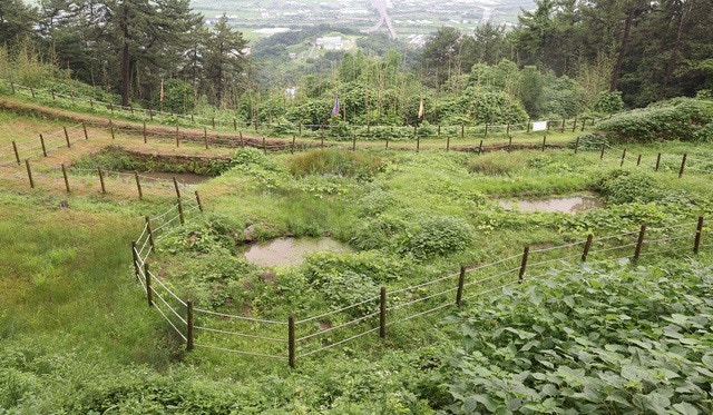 성주골 사진 4