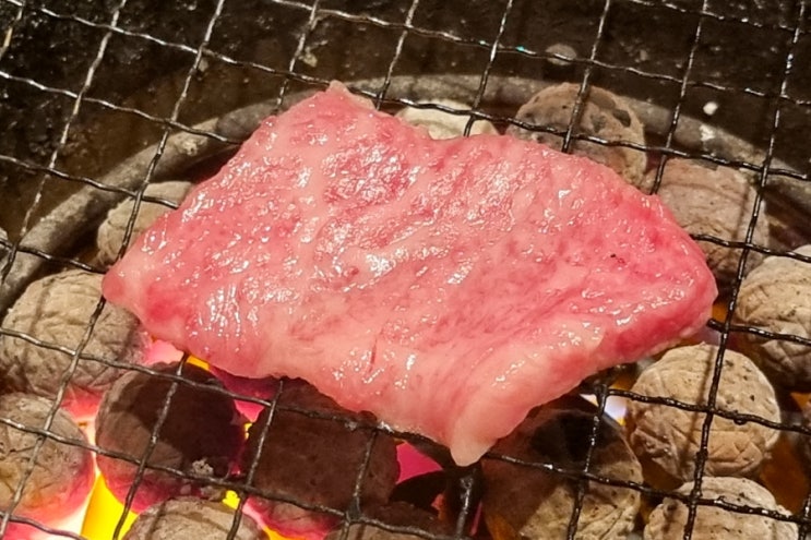  [후쿠오카] 야키니쿠 세이카 (yakiniku seika 焼肉 青華) (23.07)