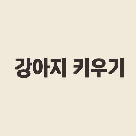 강아지 무료분양 방법 : 포인핸드 입양 유기견 반려견 키우기