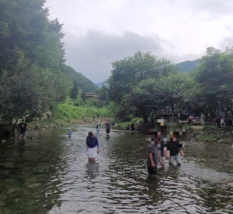 원주 가볼 만한 계곡 용소골계곡 한여름 무더위 식히기