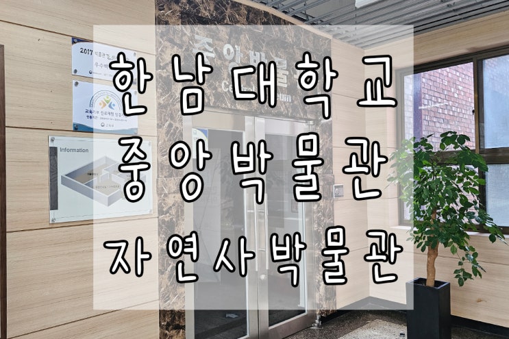 대전 한남대학교 중앙박물관/자연사박물관 +오정동 진앤키노
