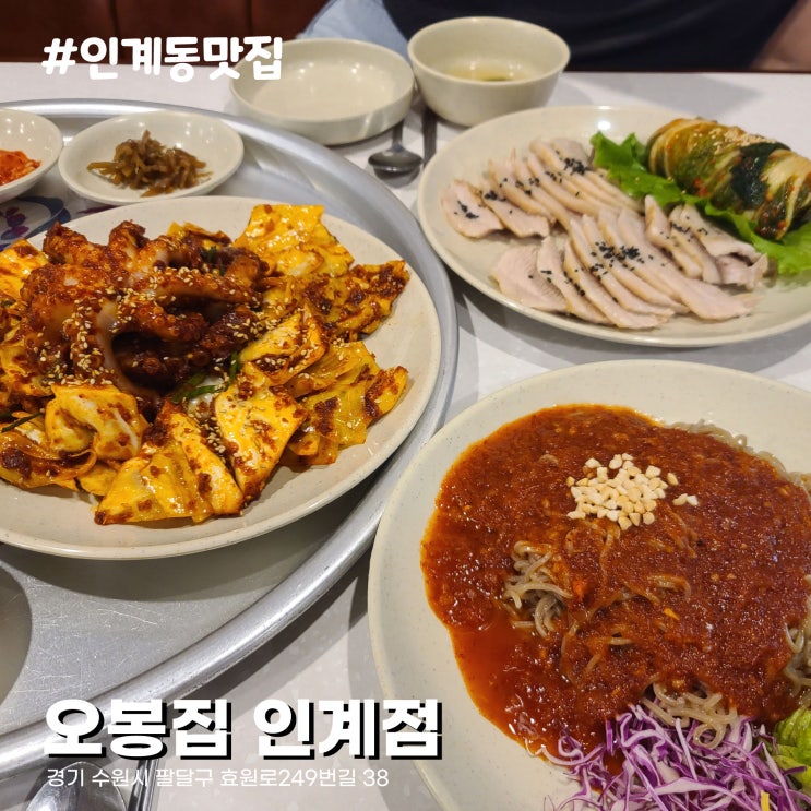  낚지볶음, 보쌈, 막국수 완벽한 조합. 수원 인계동 맛집 오봉집 수원인계점