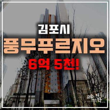 김포아파트경매 풍무동 푸르지오 6억 5천 , 풍무역