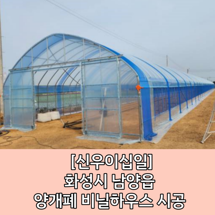  [남양 비닐하우스] 창고형 비닐하우스 시공 / 화성시 비닐하우스 시공 / 텐텐지 시공 / 보온덮개 비닐 차광망 시공 / 차광망 시공 / 관수시설 / 점적시설 시공 / 화성시 농자재