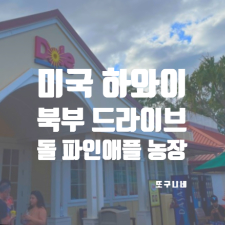  미국 하와이 여행 오하우 북부 드라이브 돌 파인애플 농장