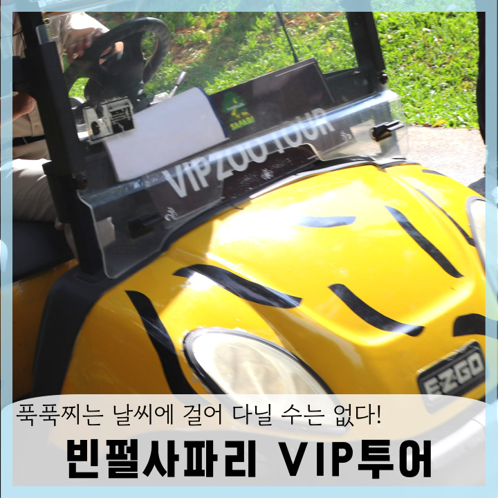  푸꾸옥 빈펄 사파리 VIP 투어 신청방법 이용 금액 최대 인원