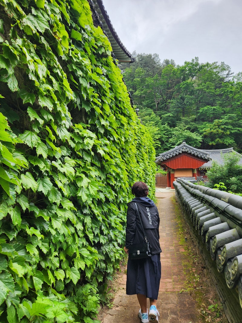 남자 혼자 여행하면서 내가 깨닫고 얻을 수 있었던 것들 : 네이버 블로그