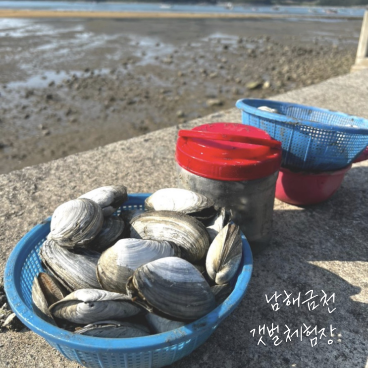  남해갯벌체험장은 금천마을갯벌