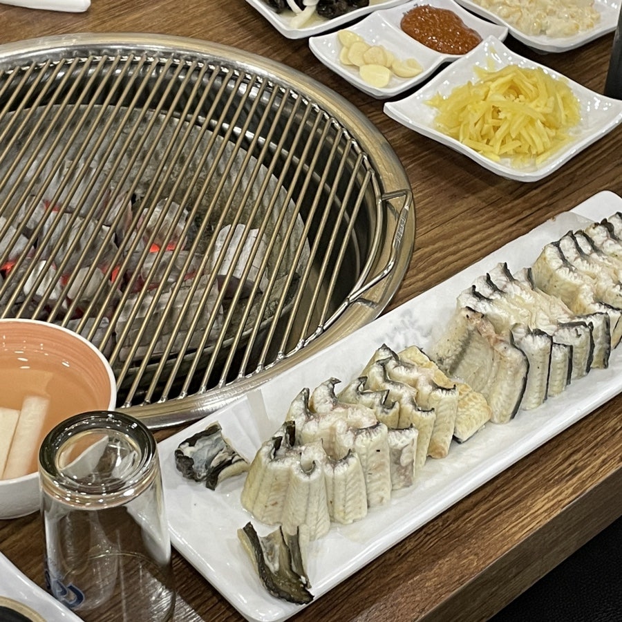 단지골장어 사진 6