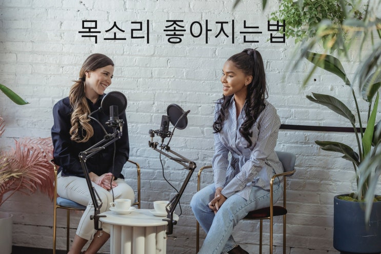  목소리 좋아지는 법(음성 변조 어플 No)