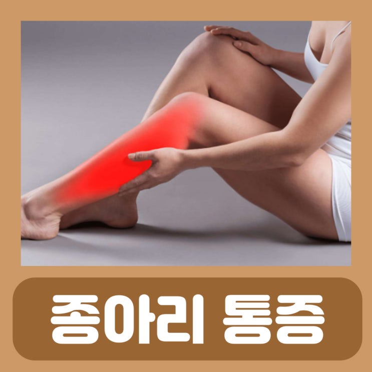  종아리 비복근 정강이 통증 가자미근 신스프린트