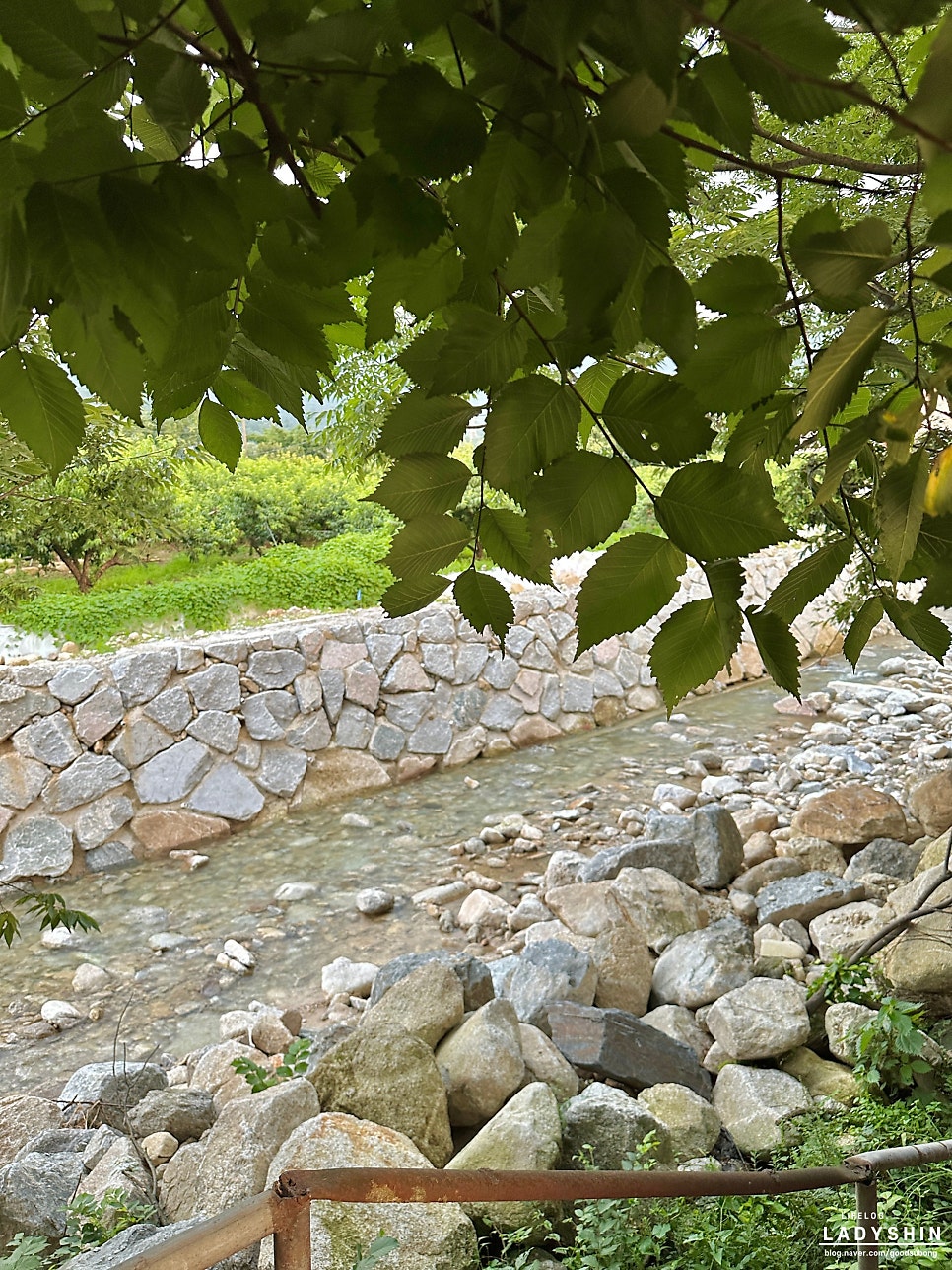 모악산정 사진 6