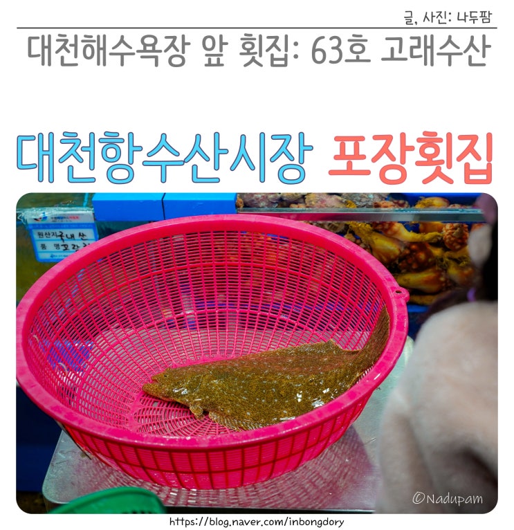 대천항수산시장 해수욕장 앞 횟집 고래수산 회 포장후기