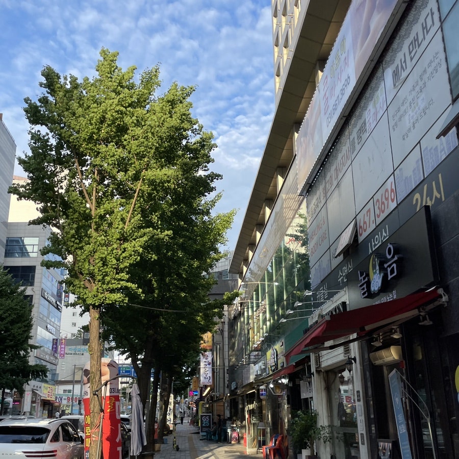 단지골장어 사진 1
