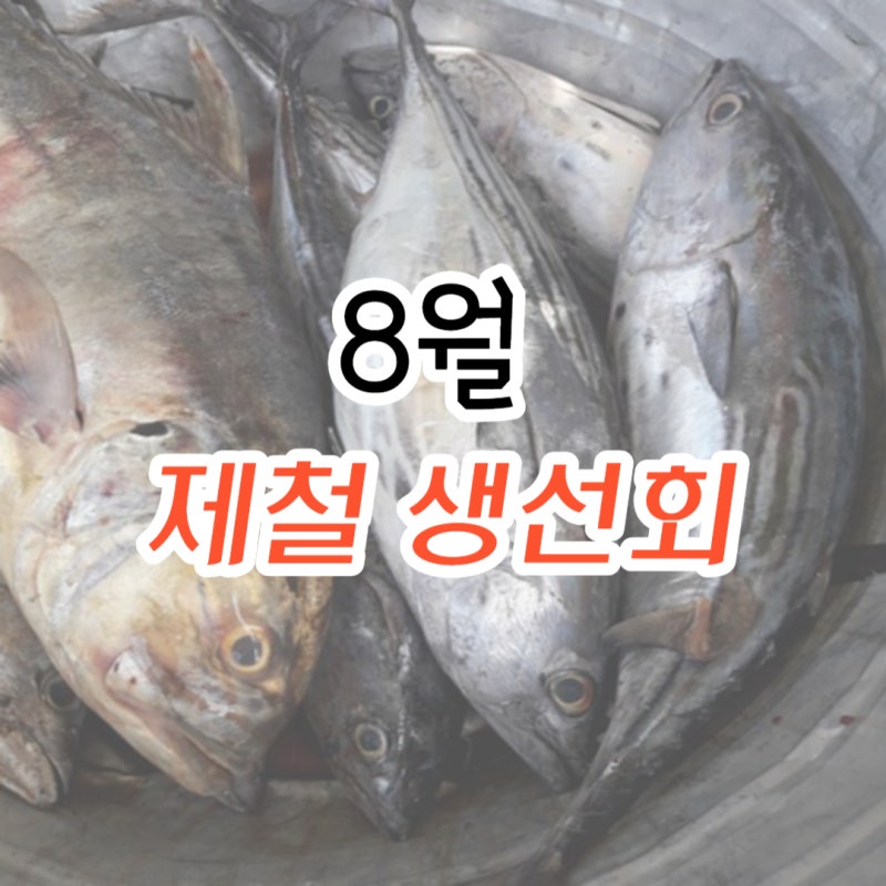 8월 제철 생선회 , 해산물 5가지 알아보기