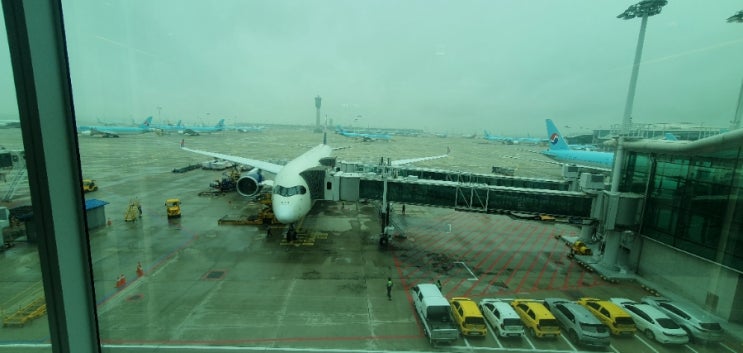 델타항공 <b>토론토</b> 국제공항 입국 후기(<b>디트로이트</b> 경유)