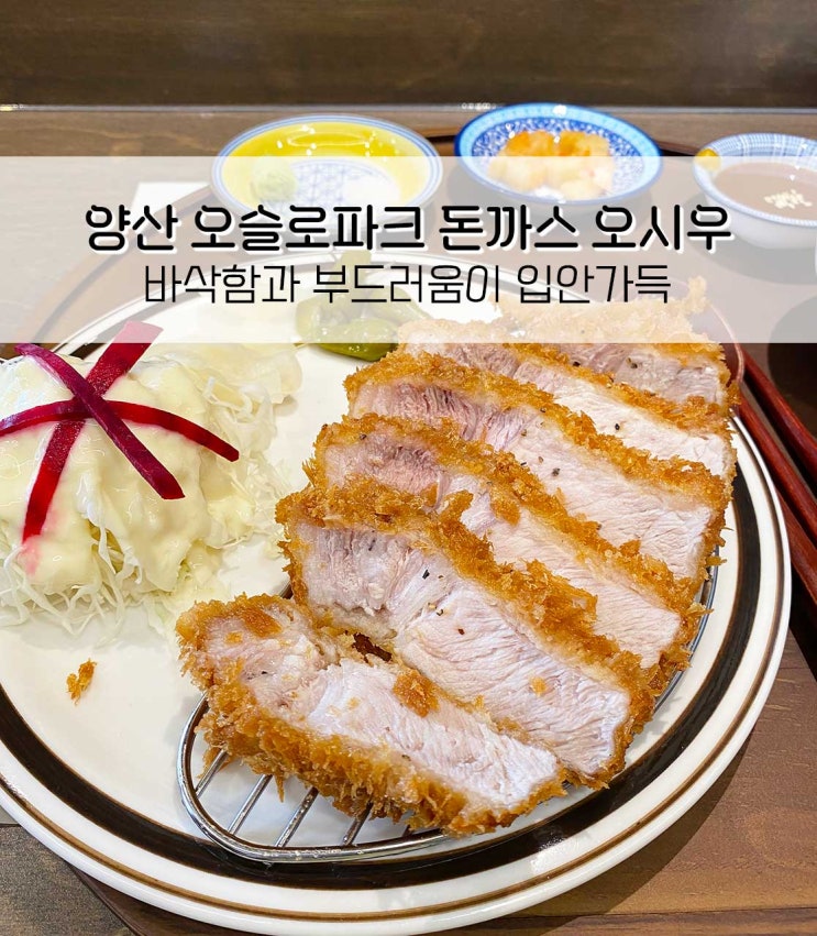  양산 오슬로파크 야끼니꾸 돈까스 맛집 오시우