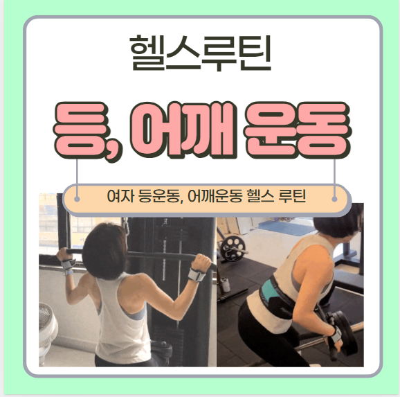  여자 등운동 어깨운동 헬스루틴 순서 및 주의사항, 준비물