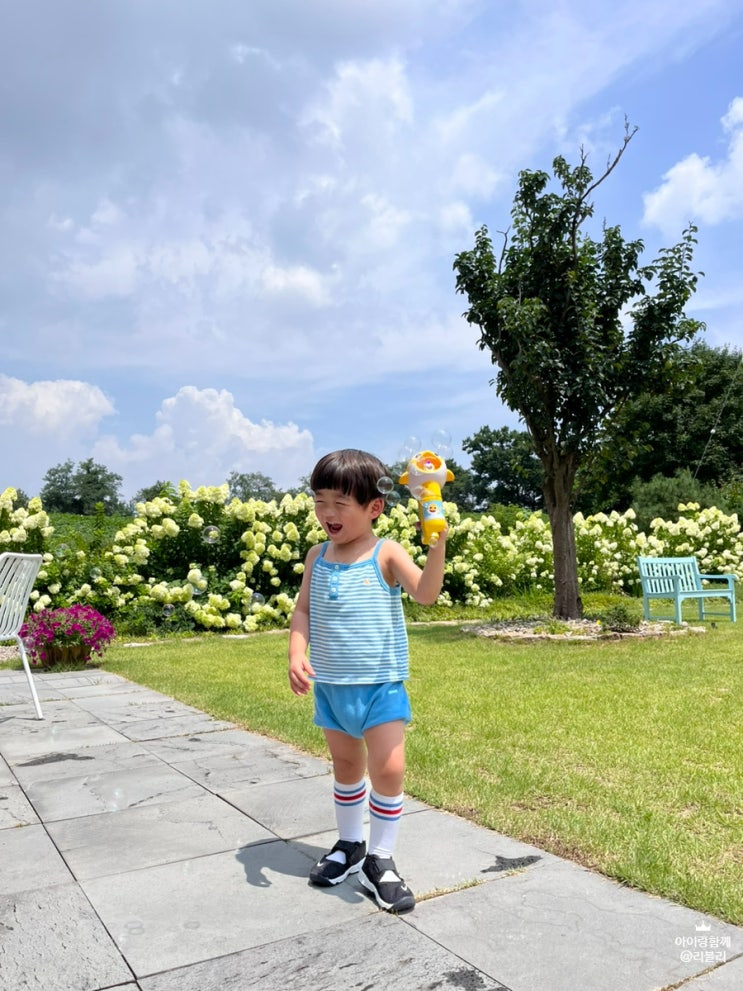 여주 고즈넉한 분위기 아이와 함께 정원에서 뛰어놀 수 있는 티카페 서하