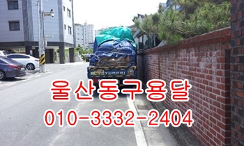  울산동구용달 방어진 정자 양남 양북 감포 입실 울릉도 화물.