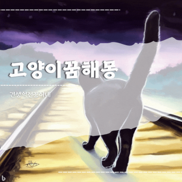  새끼고양이꿈 태몽 검은고양이꿈 해몽 색깔별 의미