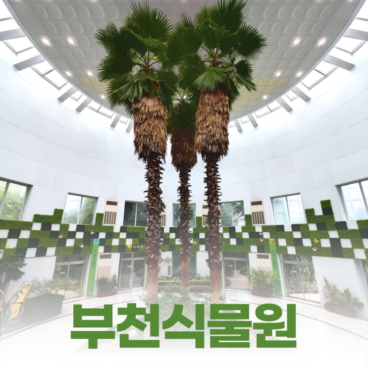 부천식물원 멋진 외부 관람로 5가지 테마 식물관 부천식물원 멋진 외부 관람로 5가지 테마 식물관
