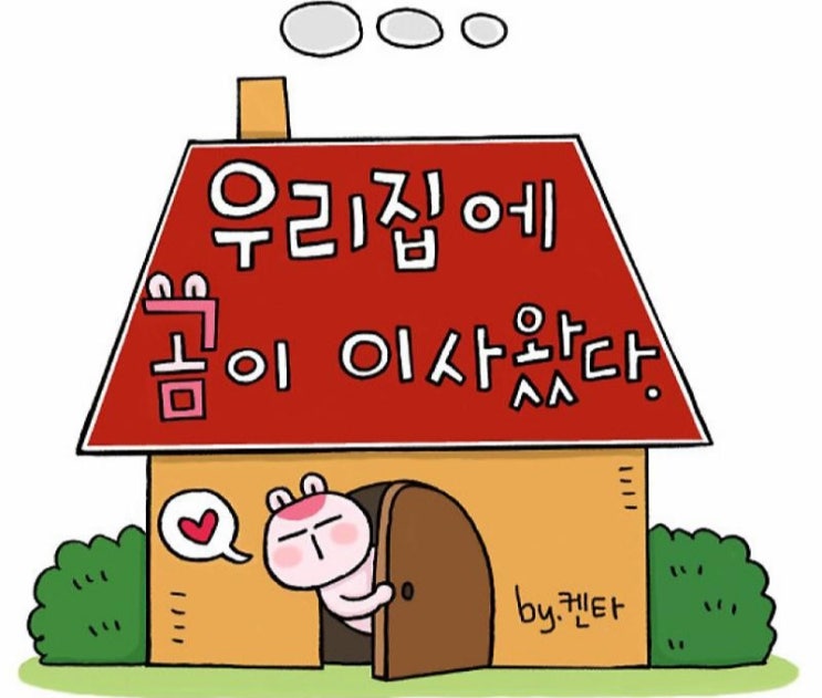 곰토토와 호호군에 대한 짧은 감상 (feat 우리 집에 곰이 이사왔다)