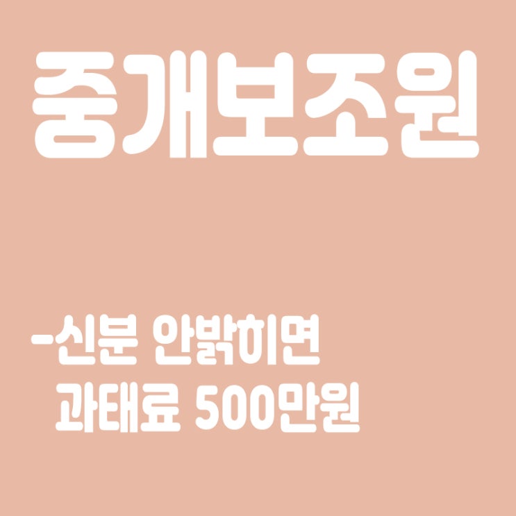  중개보조원이란?,중개보조원 뜻, 부동산 중개보조원 신분 안밝히면 과태료 500만원