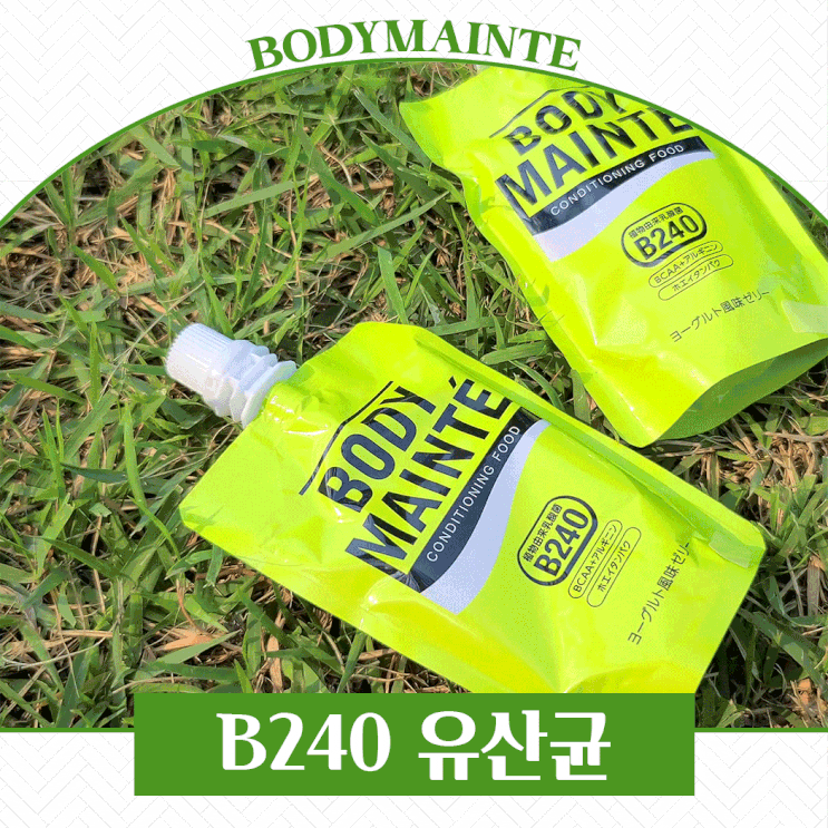  B240유산균 보디멘테로 컨디션관리중