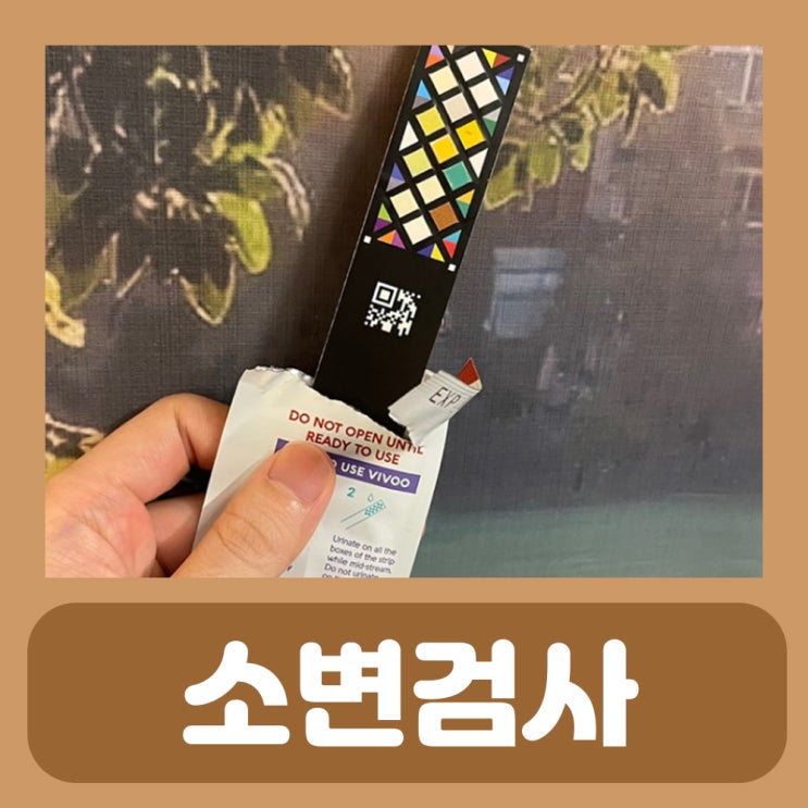  소변검사 방법 수치 스틱 비부 vivoo 소변검사로 알수있는것