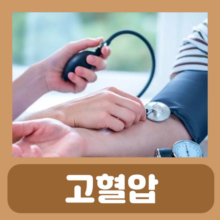 혈압약 종류 이름 고혈압약 종류 다이크로짇정 리피토정 코자정