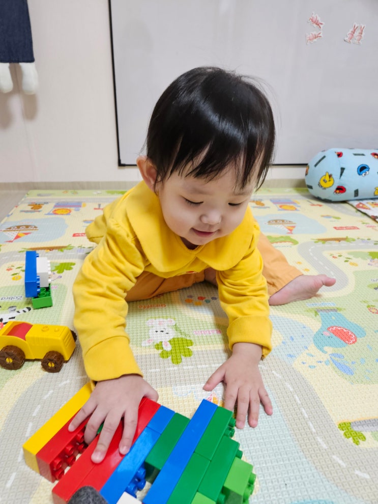  네이버 애드포스트 신청 조건 탈락 그리고 승인 기록
