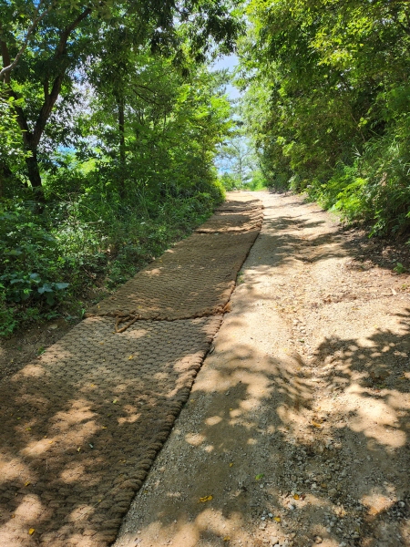  구룡포 읍 후동저수지 산책길 안전성 열려
