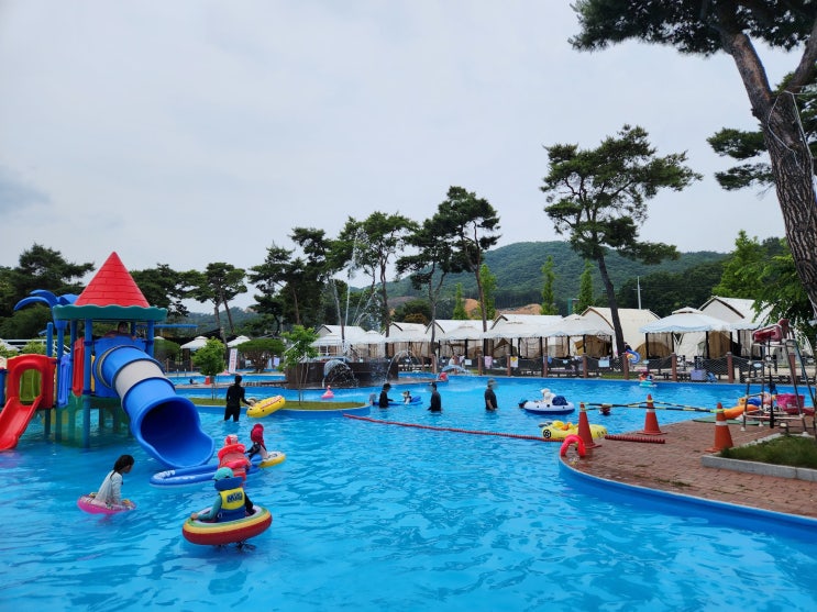 세종 물놀이 다온숲 평상 수영장 세종시 아이와 가볼만한곳 대전 청주 근교 글램핑