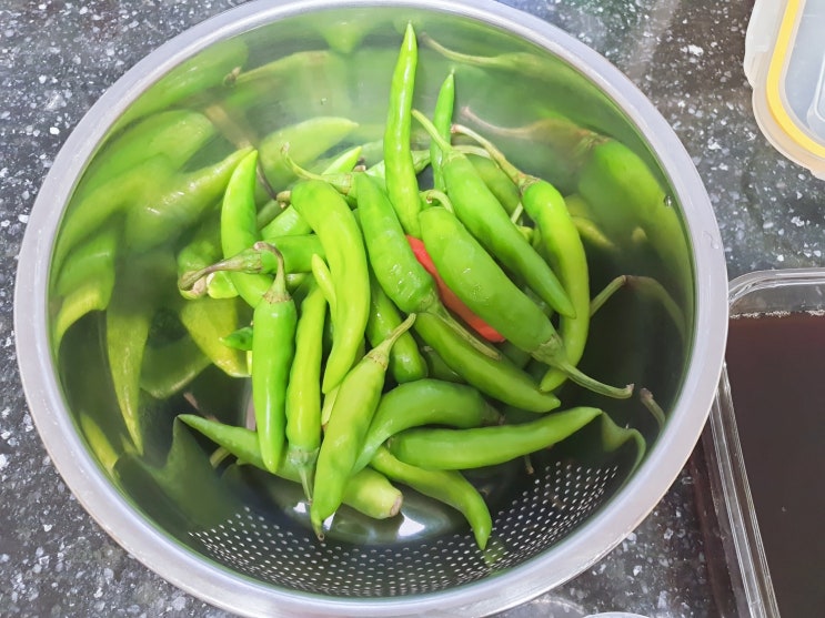  5분이면 만들 수 있는 여름철 밥도둑 청양고추 장아찌