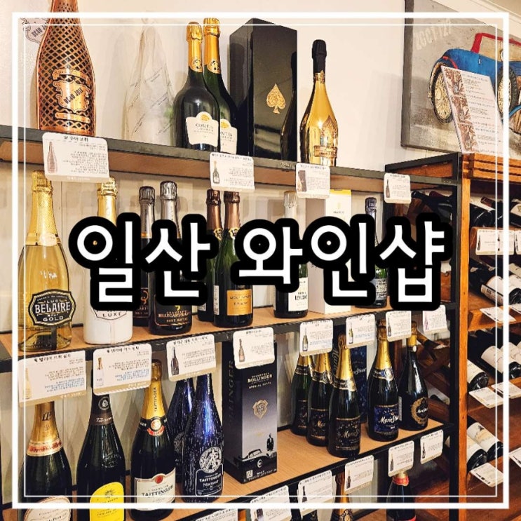  일산 와인샵 국제 소믈리에가 추천하는 와인이야기