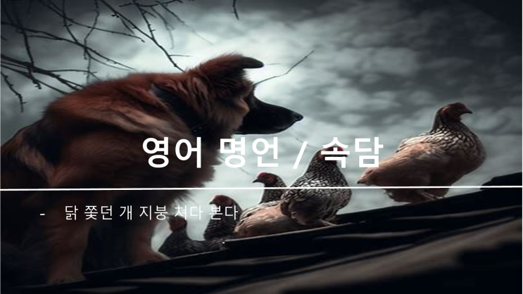  영어 속담 명언) 닭 쫓던 개 지붕 쳐다 본다