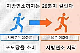 운동 중 '지방 연소 구역'
