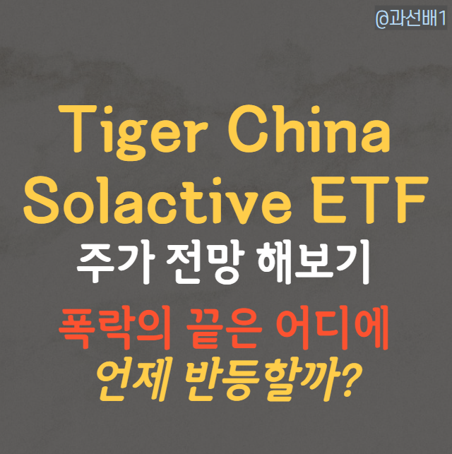  폭락한 TIGER 차이나전기차 Solactive 주가, 향후 전망은?